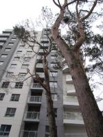 Apartment Antonio - B&B Danzica