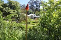 Amelina Cottages - B&B
