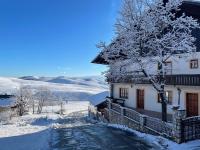 B&B Zlatibor - Guest House Vila Djokic - Bed and Breakfast Zlatibor