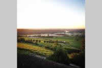 Vue panoramique sur le vignoble - 1D Rue Porte Oison, 18300 Sancerre - B&B Sancerre