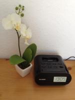 Habitación Individual