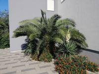 Apartment Zatonka 2 - Ferienwohnung Zaton