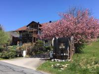 B&B Rimbach - Ferienwohnung Gammer - Bed and Breakfast Rimbach