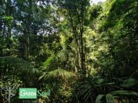 Greensoul Hospedagem - B&B Ubatuba