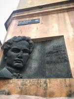 Homey apartment on Vicheva Str. - Bed and Breakfast Lviv