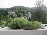 Appartement Panoramablick - B&B Baden-Baden