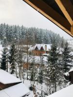 Вілла Лісова комфорт - B&B Skhidnytsya