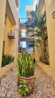 Depa Cielito - B&B