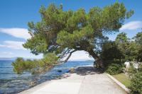 Apartment Marica - Bed and Breakfast Malinska