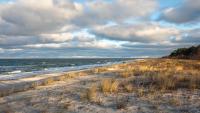 Strandhaus Zingst Apartment 15 - B&B