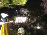 花蓮 達芙妮花園民宿 - B&B