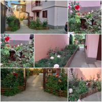 Ionela - Bed and Breakfast Costineşti