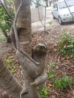 Pousada da Rose - Bed and Breakfast Prado