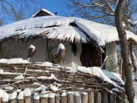 Екосадиба Лісова Казка - Bed and Breakfast Dmytrenky