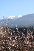 4 Bed Villa - Sleeps 7 - Pool - Garden - Parking - Chambres d’hôtes Melegís