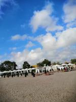 ЖДЕМ Вас! ПРИЕЗЖАЙТЕ - B&B Odesa