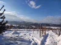 Appartamento con Vista Montagna