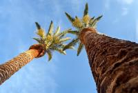 Cáceres Deluxe - B&B Cáceres