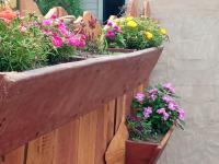 Apartamento de 1 dormitorio