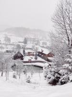 Pensiunea Ioana - B&B Vadu Izei