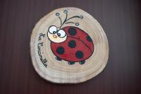 La nuova Coccinella - B&B