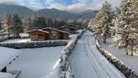 Luxury Chalets Pirin Golf & Country Club - Bed and Breakfast Bansko
