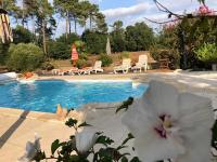 LE GAHOUN - Chalet - B&B Castets