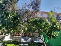 Noam Hamargalit - B&B Kfar Veradim
