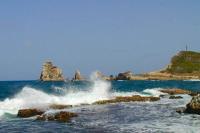 Grand studio Tropical idéalement situé, jardin et piscine - Bed and Breakfast Saint-François