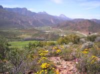 B&B Ladismith - The Country Garden - Bed and Breakfast Ladismith