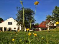 Hoeve de Knol - Ferienwohnung Holthees