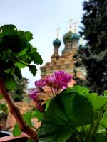 Il Sorriso - B&B Firenze