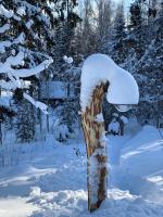 Chalet mit 2 Schlafzimmern