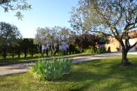 Le Nid au Pied du Mont Ventoux - B&B