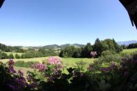 Appartamento con Balcone