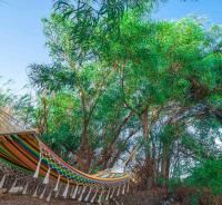 Casa Sofianna 2-bedroom home next to sandy beach - Chambres d’hôtes Monemvasia