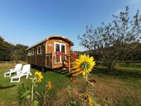 Roulotte Bigoudenne - B&B Tréméoc