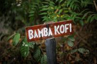 Bamba Kofi Tented Camp