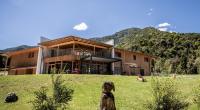 Bosc del Meneghì - B&B
