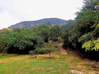 Espaço Terra Dourada, Ibicoara, Chap Diamantina - Ferienwohnung Ibicoara