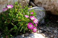 Ferienwohnung Fembacher - B&B Bad Reichenhall