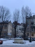 Центр пл Старий ринок Apartment in the center of Lviv Поруч громадська парковка - Chambres d'hôtes Lviv