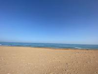 Loft estilo industrial en playa de las marinas!!! - Chambres d’hôtes Denia