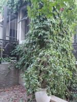 GABRIELLA'S - B&B Riebeek-Kasteel