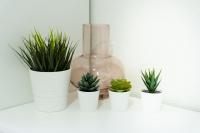 APARTMANI CENTAR LUX NEW - B&B Zrenjanin