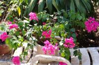 Apartment mit Gartenblick