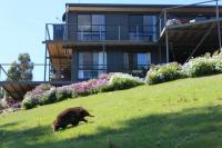 Storm Bay B&B - B&B