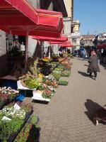 Bed & Breakfast Sky City Center - B&B Zagreb