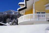 Villa Vanessa Kleinwalsertal - B&B Mittelberg