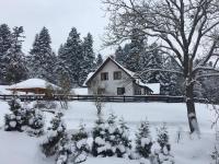 Dom na Krzemienicy - B&B Izdebki